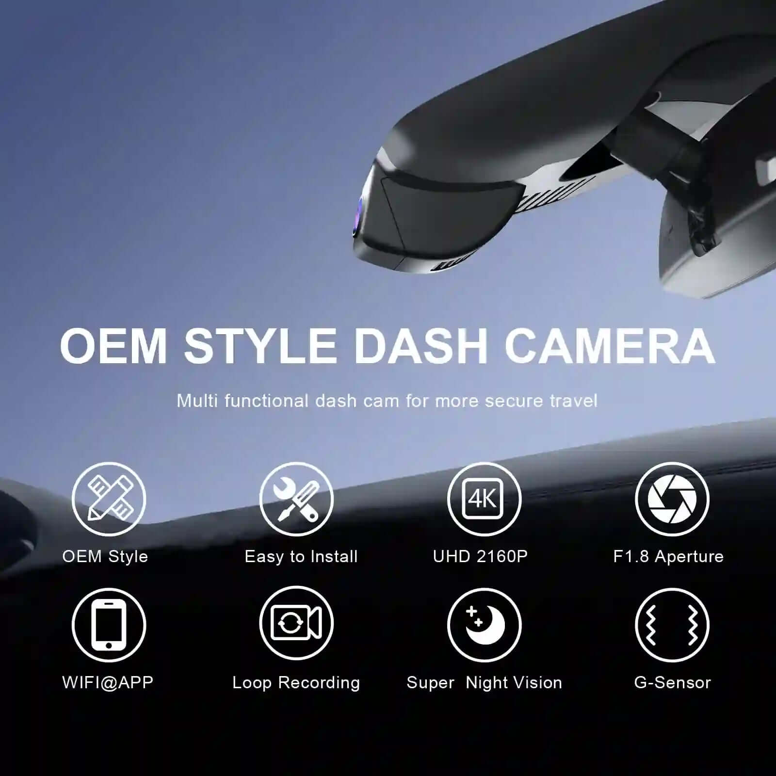 OEM style dash camera View